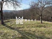 Teren de vânzare, 7750 mp I Orientare sudică I Caineni