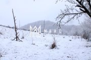 Teren I Constructie I izvor apă minerală  Dangești I 2 Hectare - 7