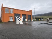 Hală cu Birouri și Teren 12.000 mp I De Vânzare I Bradu I Sibiu - 4
