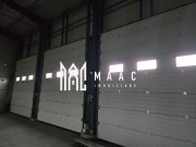 Hală cu Birouri și Teren 12.000 mp I De Vânzare I Bradu I Sibiu - 5