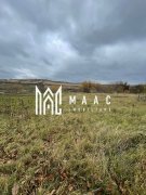 Teren 720 mp| Intravilan |Șura Mare - 4