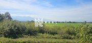 Teren 3.500 mp | Lângă canalul Oltului  | Porumbacu de Jos - 3