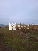 Teren Intravilan | 3900 MP | Tălmaciu - 2