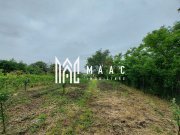 Casa | 1331 mp Teren | Miercurea Sibiului | - 10