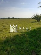 Teren  | Intravilan |5.000 MP | Valea Avrigului