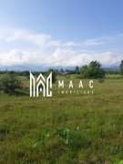 Teren  | Intravilan |5.000 MP | Valea Avrigului - 2