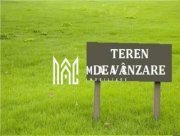 Teren extravilan | 12.300 mp | Zona Dedeman - 2