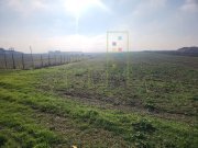 Teren agricol in intravilanul comunei Sacalaz - 3