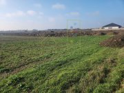 Teren agricol in intravilanul comunei Sacalaz - 4