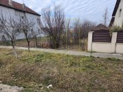 Teren de vanzare. Sacalaz. Vatra Veche.