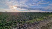 Zona industriala Freidorf.