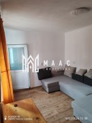Casa verde de închiriat  Săliște I Sibiu - 8