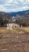 Doua loturi de 1500 mp in BISTRA I Alba I