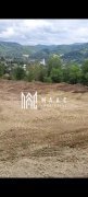 Doua loturi de 1500 mp in BISTRA I Alba I - 3