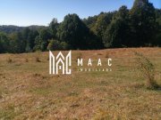 Teren Extravilan 20.000Mp I Stoenești -Vâlcea I Apă Curentă și Pădure