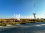 Teren 10.000 mp I Dezvoltare rezidențială I Calea Șurii Mici