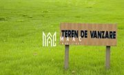 Teren extravilan de 3.000 mp | Dealul Daii