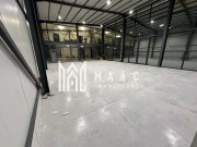 Hala | 250 MP | Teren 11.000 mp | - 7