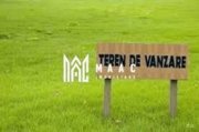 Teren intravilan | 1000 mp | Tocile
