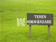 Teren extravilan 2000 mp | Valea Avrigului, Avrig | curent aproape - 3