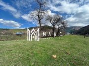 Teren intravilan I 800 mp I Raul Sadului - 2