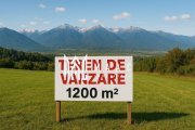 Teren Intravilan I Cârțișoara I 1200 MP