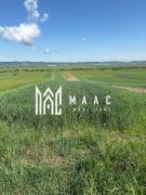 Teren extravilan 2393 mp | Gura Râului | acces, Carte Funciară