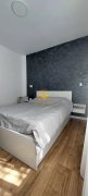 Apartament 2 camere in zona Facultatii de Drept , Piata Cipariu - 5