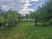 Teren intravilan  1400 mp - Albota ! - 4