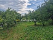 Teren intravilan  1400 mp - Albota ! - 5