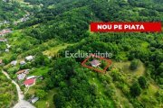 Proprietate de poveste în Corbi, Argeș - Doua case si 6300 mp teren intravilan