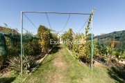 Casa visurilor cu livada roditoare si gradina amenajata - 3