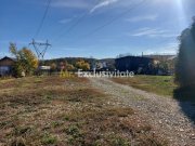 De închiriat: Hale si locuință pe 3 000 mp/ Bascov - Argeș - 10