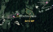 Casa de vacanta sau pensiune in Dâmbovicioara 5 camere, 5 bai, 6412 mp teren - 10