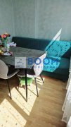 Apartament 2 camere | Parter | Renovat | Mobilat - 4