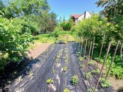 Teren intravilan 402 mp în Tecuci – zonă liniștită, deschidere 16 ml