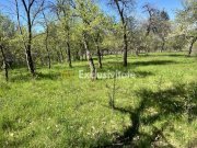 Teren intravilan 3097 mp Comuna Corbi, Jud. Argeș, toarte utilitatile - 2