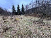 Teren intravilan 6.500 m²–Deschidere 144 ml drum european E81, km 35, Morăresti