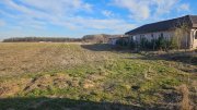 Vand teren cu suprafata de 26.000mp intravilan in Cornetu - Magurele - 3