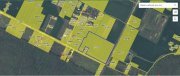 Vand teren cu suprafata de 26.000mp intravilan in Cornetu - Magurele - 7
