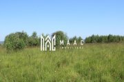 Teren extravilan de vânzare | Arpașu de Sus | 3100 mp