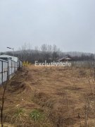 Teren 1758 mp DN7 - Prislopu Mare, Draganu! - 3