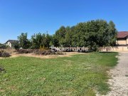 Teren intravilan | 2 deschideri | Ștefăneștii Noi – Str. Primăverii - 5