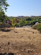 Teren intravilan Turcesti (Pitesti) - 1083 mp, demisol executat - 5