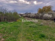 Teren Topoloveni - 3670 mp - langa padure, aproape de Centrul orasului