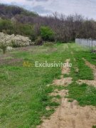 Teren Topoloveni - 3670 mp - langa padure, aproape de Centrul orasului - 4