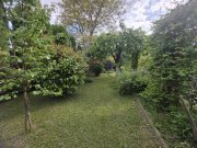 De Vânzare Căsuță cu 7 ari teren Bercu Roșu - 5