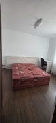 Închiriez apartament cu 2 camere 10 minute de Univ. Petru Maior - 3