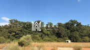 Teren intravilan de vânzare | Cisnădie | 1.316 mp | hală metalică - 2