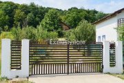 Doua CASE in aceeasi curte–BABANA, ARGEȘ | 1.485 MP TEREN